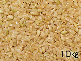 六郷米（玄米）10kgの写真